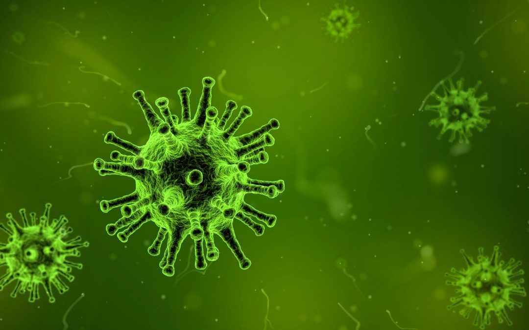 virus 1812092 1920