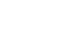 A3